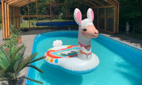 Aufblasbares Lama in einem Pool